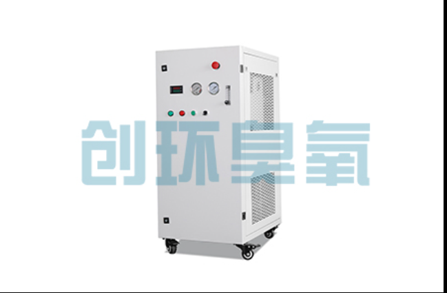 荣昌工厂化养鲈必看：2026年臭氧发生器替代传统消毒的最新方案