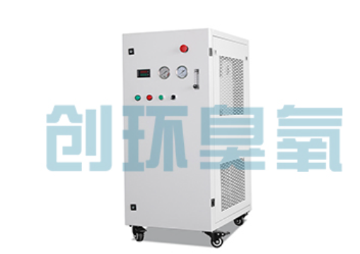 荣昌石斑鱼养殖水质调控完整指南:臭氧发生器配置与操作步骤