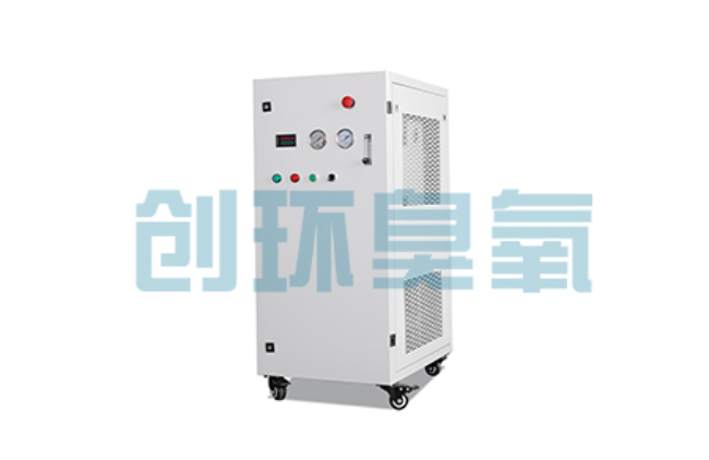 荣昌比传统换水更高效?臭氧发生器在石斑鱼养殖中的水质净化原理解析